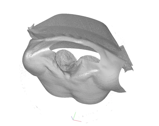 Polygonal Modeling: C3D PolyShaper Functionality Overview, photo 2