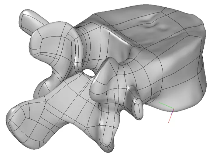 Polygonal Modeling: C3D PolyShaper Functionality Overview, photo 8